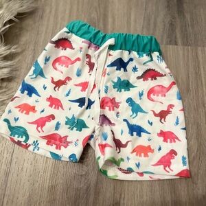 Colorful Dinosaur Print Swim Shorts